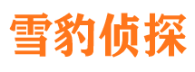 镇平市婚姻出轨调查